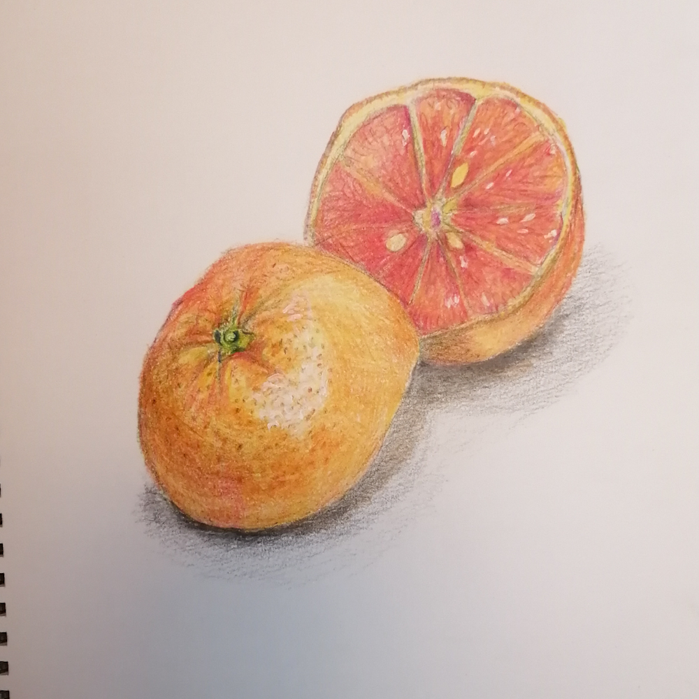 色鉛筆オレンジ完成