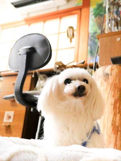 彫金体験 指輪制作 ハンドメイド体験 堺市 南大阪 大人の趣味 ものづくり